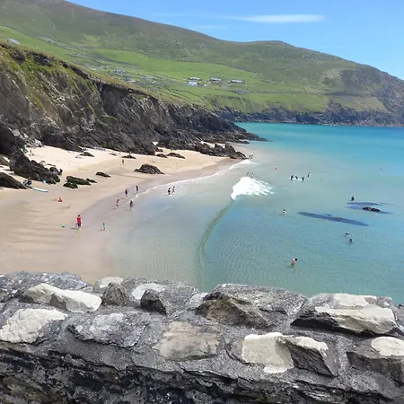 Baywatch Dingle