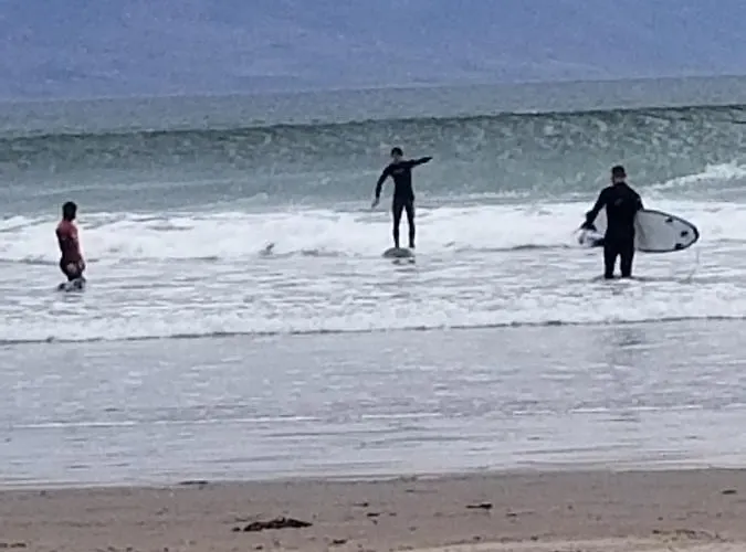 Pensionat Baywatch *